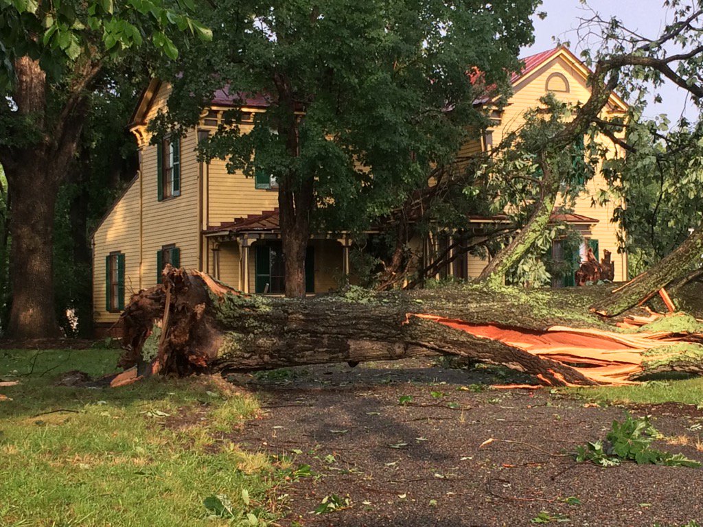 Storm Damage in Reidsville